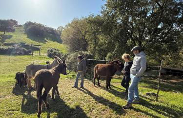 Casa rural La Frambuesa - Foto 21