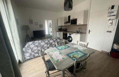 Cosy Loire, T2 neuf, front de Loire ,vue cathédrale,5min à pied centre ville et parking privé - Foto 9