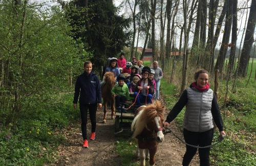 Ferienhaus Spielburg - Foto 55