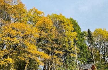 Tiny House/Waldhaus - Westerwald - Foto 13