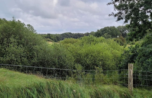 4 Star Holiday Home in Hovborg - Foto 11