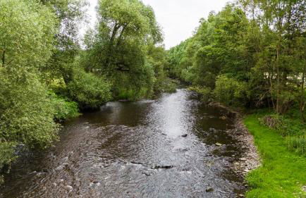 Ferienhof Falkenau - Foto 29