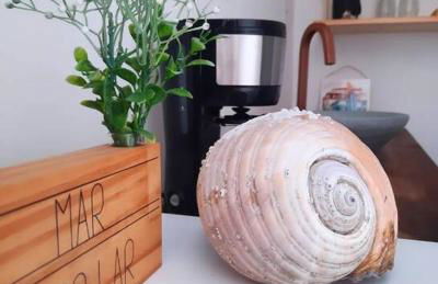 Vila das Conchas - Hospedagem Floripa - Foto 20