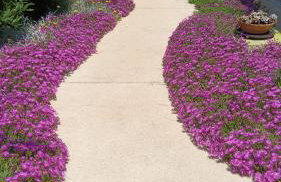 Casa Fiorita - Photo 12