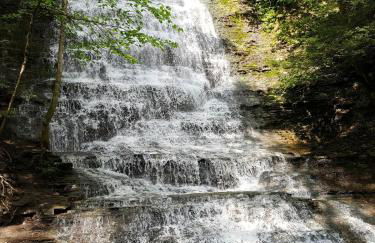 Woodland Hideaway - Foto 42