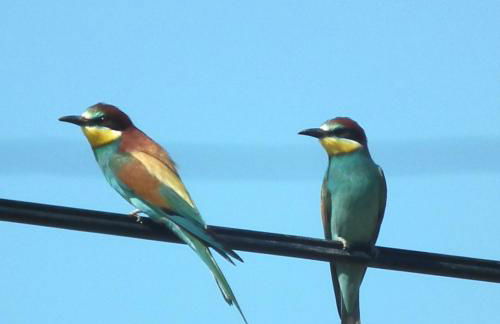 Quinta Do Marvao - Foto 56