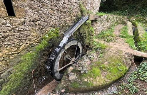 Spring Water House - Foto 60