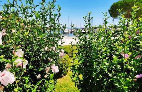 Signora Ruth - Aprilia Residence - Photo 13