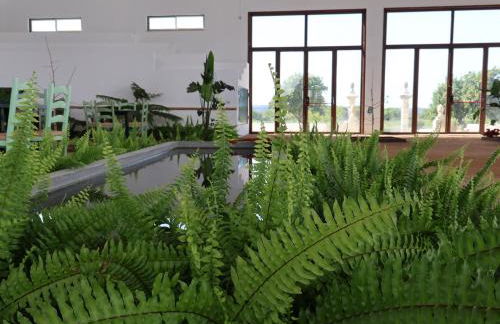 Pátio das Ribeiras - Foto 50