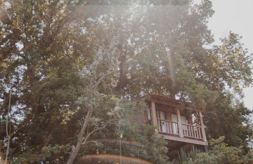 Quinta Do Padrao - Foto 10