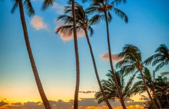 Castle at Moloka'i Shores - Foto 75