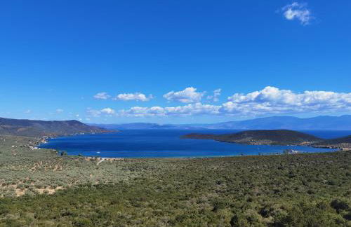 Elaion Thea-Nies - Photo 19