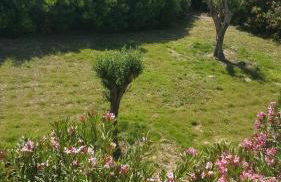 Rifugio della Pace Piano terra e Primo Piano - Photo 39