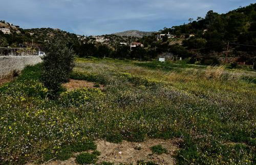 ALTAVILLAS maisonettes - Foto 16