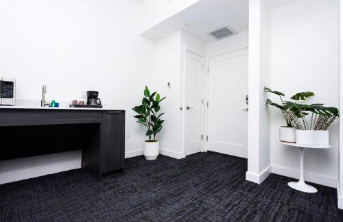 Modern Studio in Historic Boston - Unit #102 - Foto 4