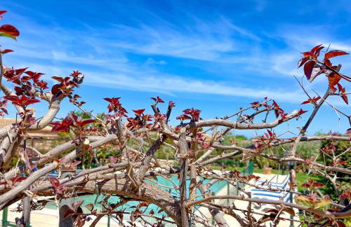 Cas Munji - BBQ, piscina y terraza - Foto 65