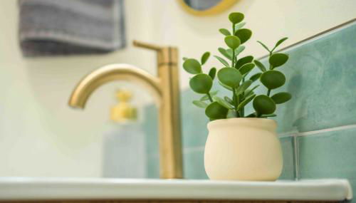 Private Tropical Beach Oasis - Coral - Foto 3