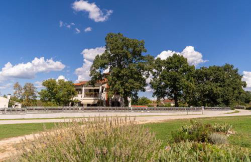 Apartman Kalić - Foto 29