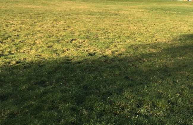 Torran View - Foto 41