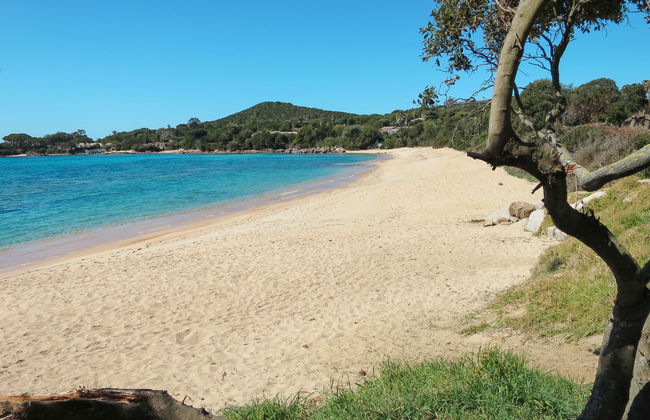 Bruyères 1 - Foto 22