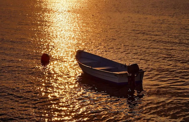 Secluded Cottage Retreat at Ordrup Naes-by Traum - Foto 23