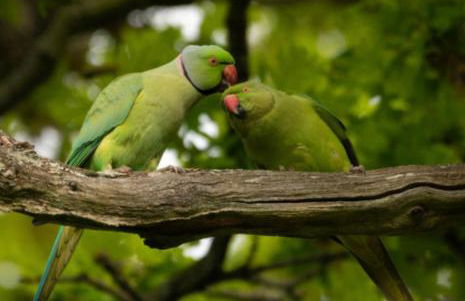 Espacioso Bungalow en Maspalomas - Photo 36