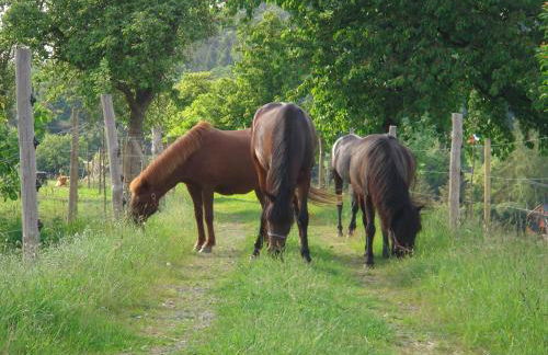 Alter Gutshof Papstdorf - Foto 27