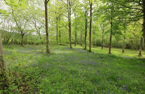 The Larches - Photo 31