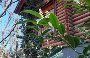 Holzhaus am See - Foto 3