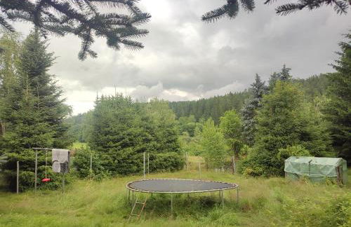 Haus "Grimberg" FeWo 1-stock oder FeWo 2-stock & Zusätzliches Zimmer - Photo 52