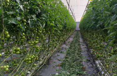 Vivienda Vacacional La Aldea de San Nicolas - Foto 25