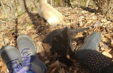 Red River Gorge Creekside, New*Spacious *2 baths! - Foto 5