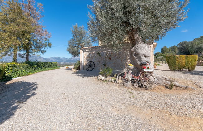 Finca Can Rebasso - Foto 28