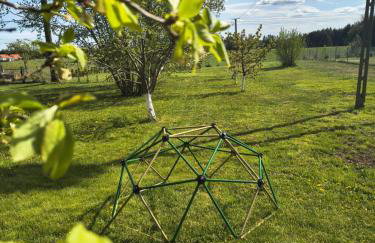 DOM w JESIONACH Brajniki - działka 1 HEKTAR - Photo 8