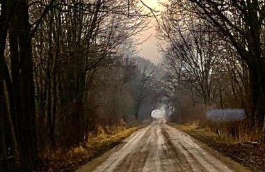 Little Turkey Ranch - Foto 4