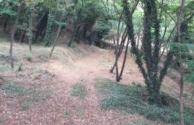 Quinta Vale do Nox - Foto 11