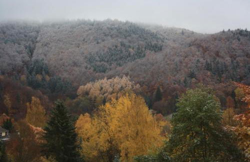 FeWo Harz Haennig 2 - Foto 35