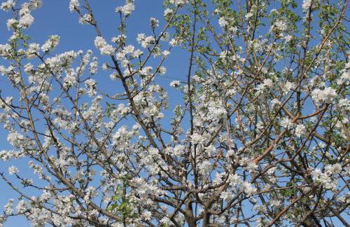 Country House Erba Regina - Foto 94