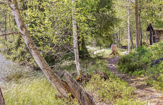 Heinälampi - Photo 7