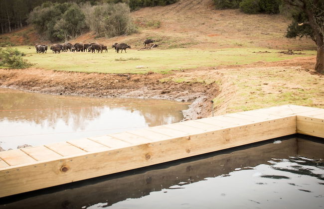 Botlierskop Bush Villas - Photo 51