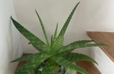 Arco Townhouse - Foto 26