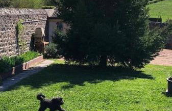 Au Clos des Ormes - Foto 46