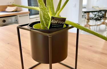 Le Mans - Au Calme - Stationnement Facile - Proche Centre Ville et Gare - Foto 23