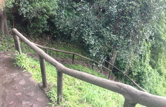 Togara Cabin - Foto 12