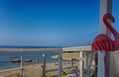 App Maria 1 - Foto 29