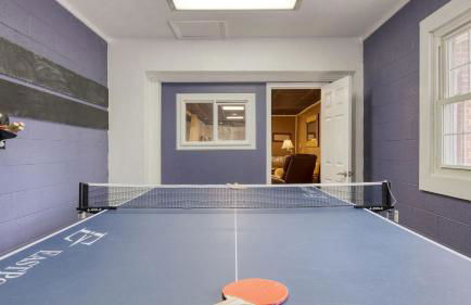 Asheville Sunset 10min to Asheville + Ping Pong - Foto 43