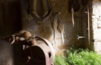 Els Masos d'en Coll - Foto 25