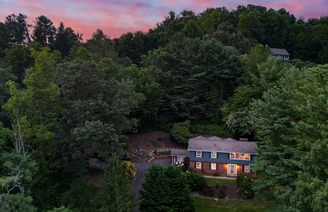 Hyannis 10min to Asheville Firepit Ping Pong - Foto 44