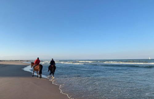 Beach Retreat - Photo 21