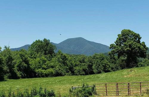 Restored 1900s Historic Home - Jonesboro, VA - Foto 31
